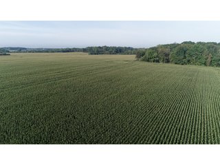 Tillable & Wooded Farmland in Allen County, Indiana - LAND AUCTION - 184+/- ACRES OFFERED IN 3 TRACTS IN ALLEN COUNTY, INDIANA